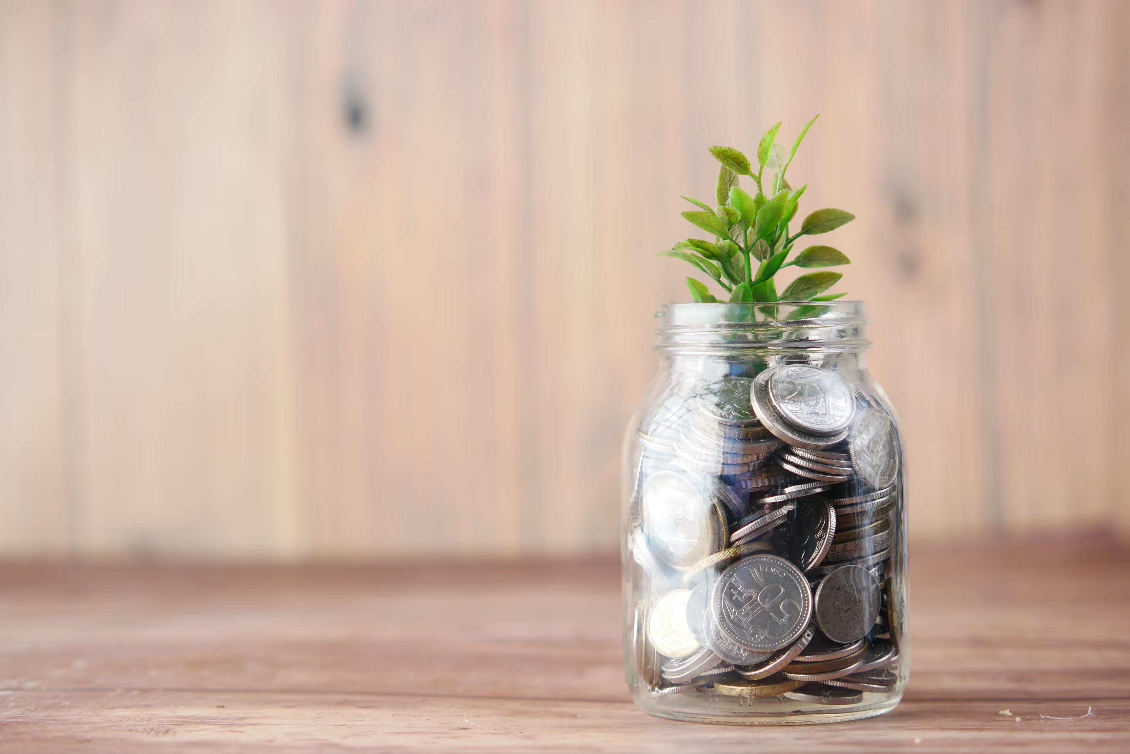 Price Matching Strategy on Amazon: When & Why to Use It